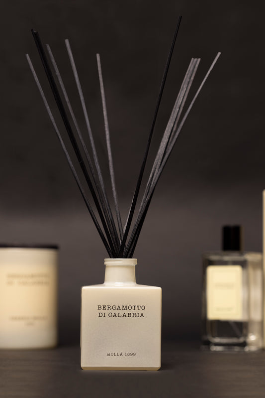 Mikado CERERÍA MOLLÁ.