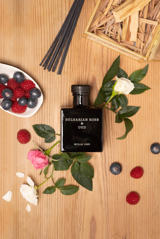 Mikado CERERÍA MOLLÁ.