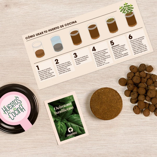 Huerto de cocina de albahaca.