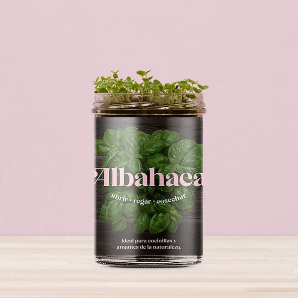 Huerto de cocina de albahaca.