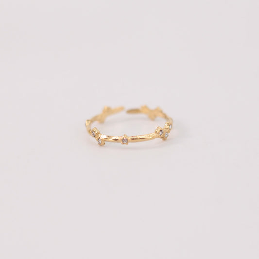 Anillo.