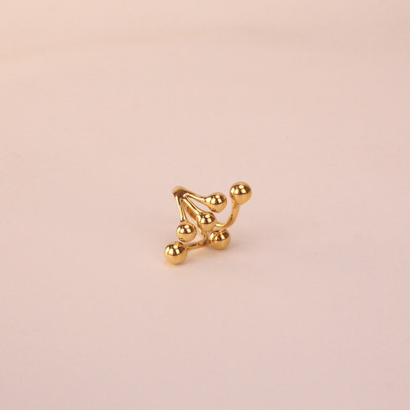 Anillo.