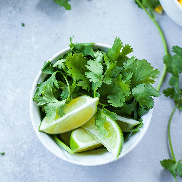 Huerto de cocina de cilantro.