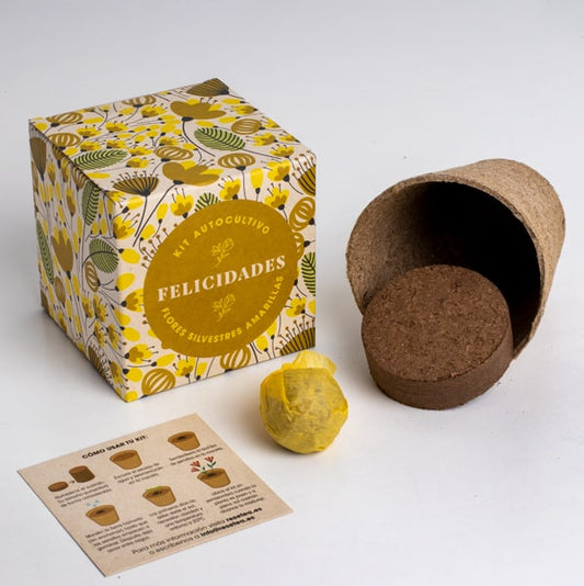 Kit autocultivo "felicidades".