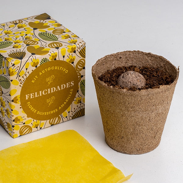 Kit autocultivo "felicidades".