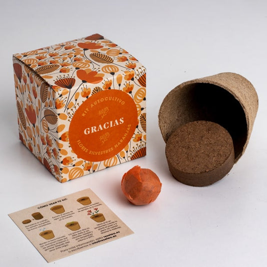 Kit autocultivo "gracias".