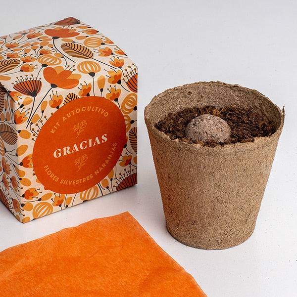 Kit autocultivo "gracias".