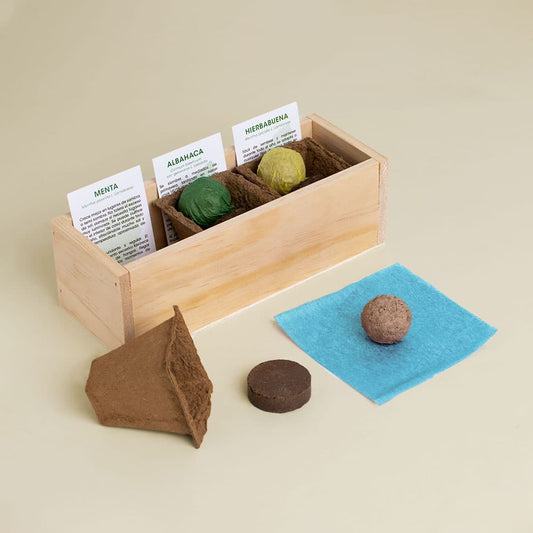 Kit autocultivo mojito.