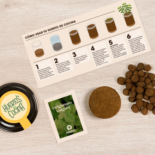 Huerto de cocina de orégano.