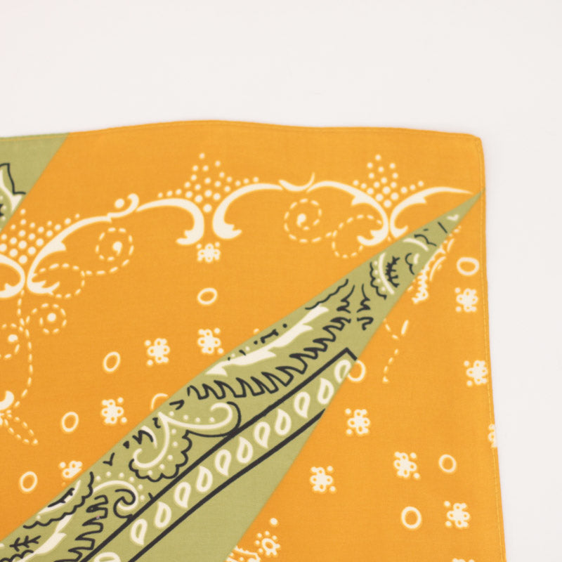 Pañuelo estampado.