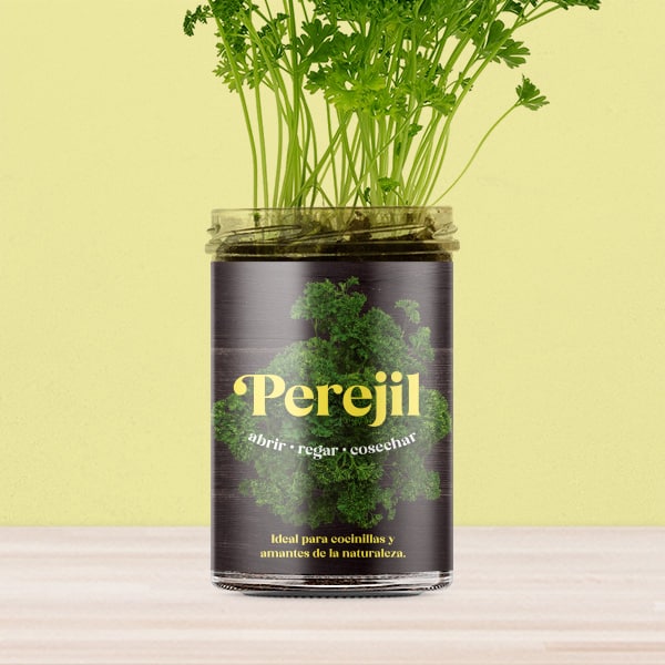 Huerto de cocina de perejil.