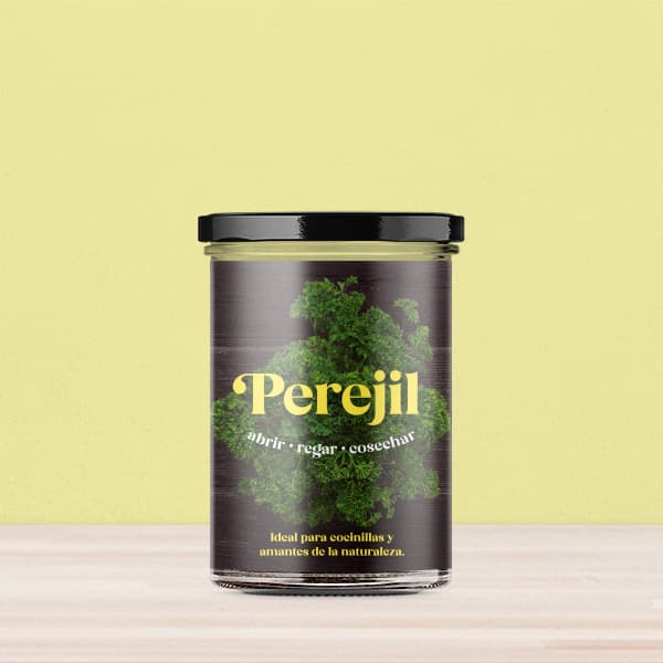 Huerto de cocina de perejil.