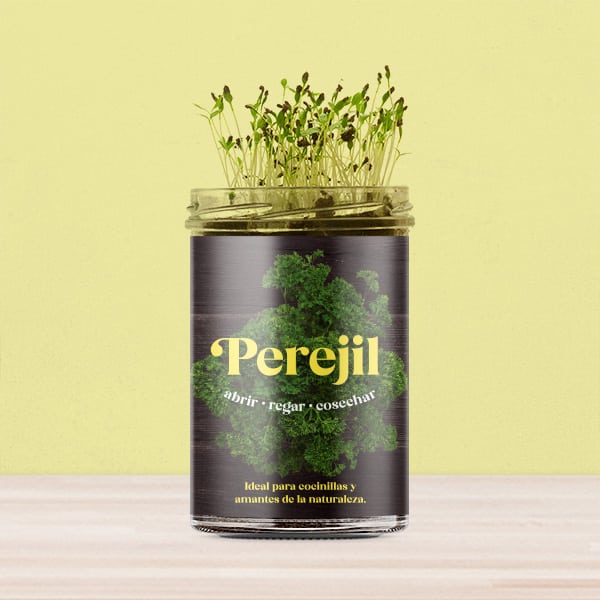 Huerto de cocina de perejil.