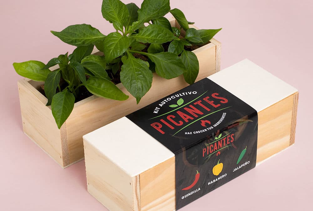 Kit autocultivo picante.