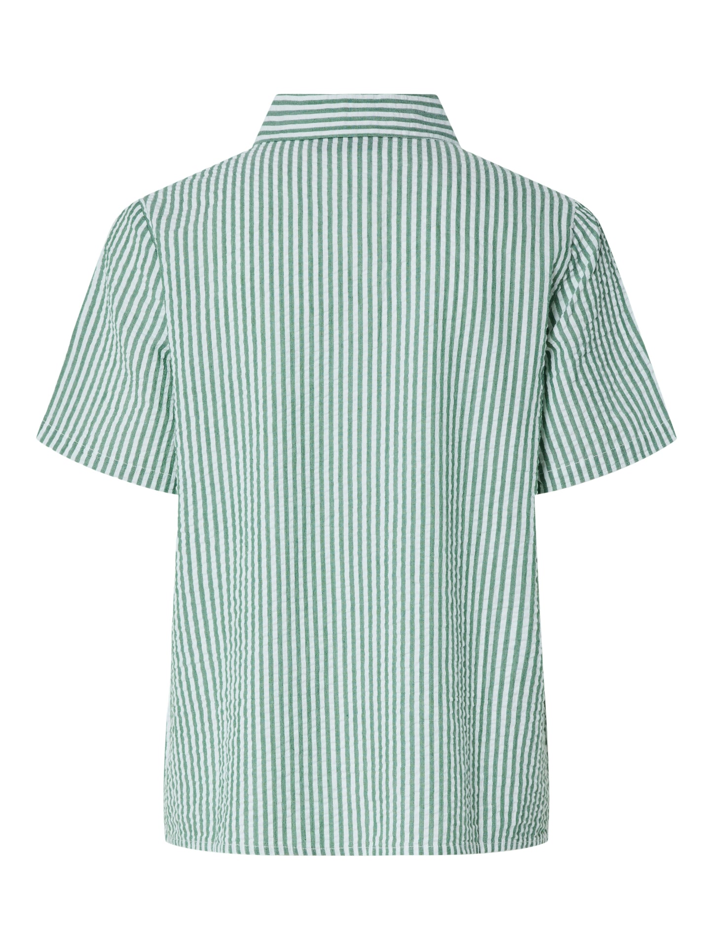 Camisa algodón.