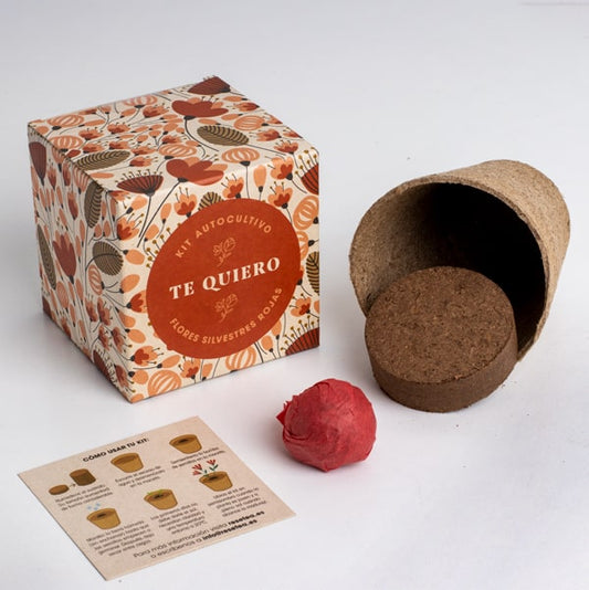 Kit autocultivo "te quiero".