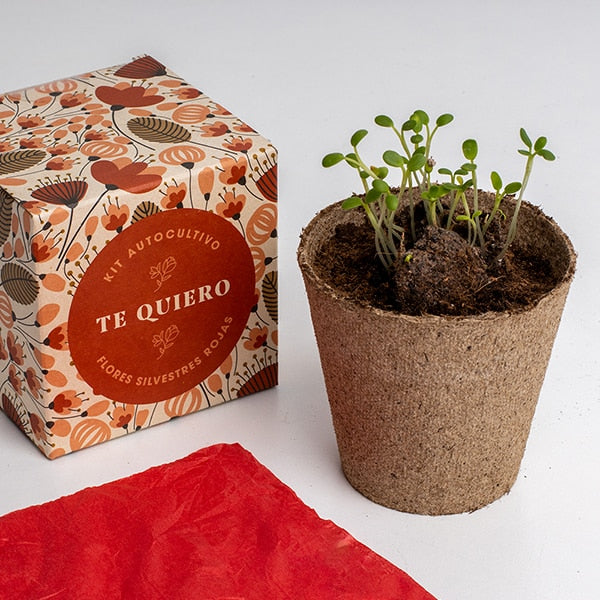 Kit autocultivo "te quiero".
