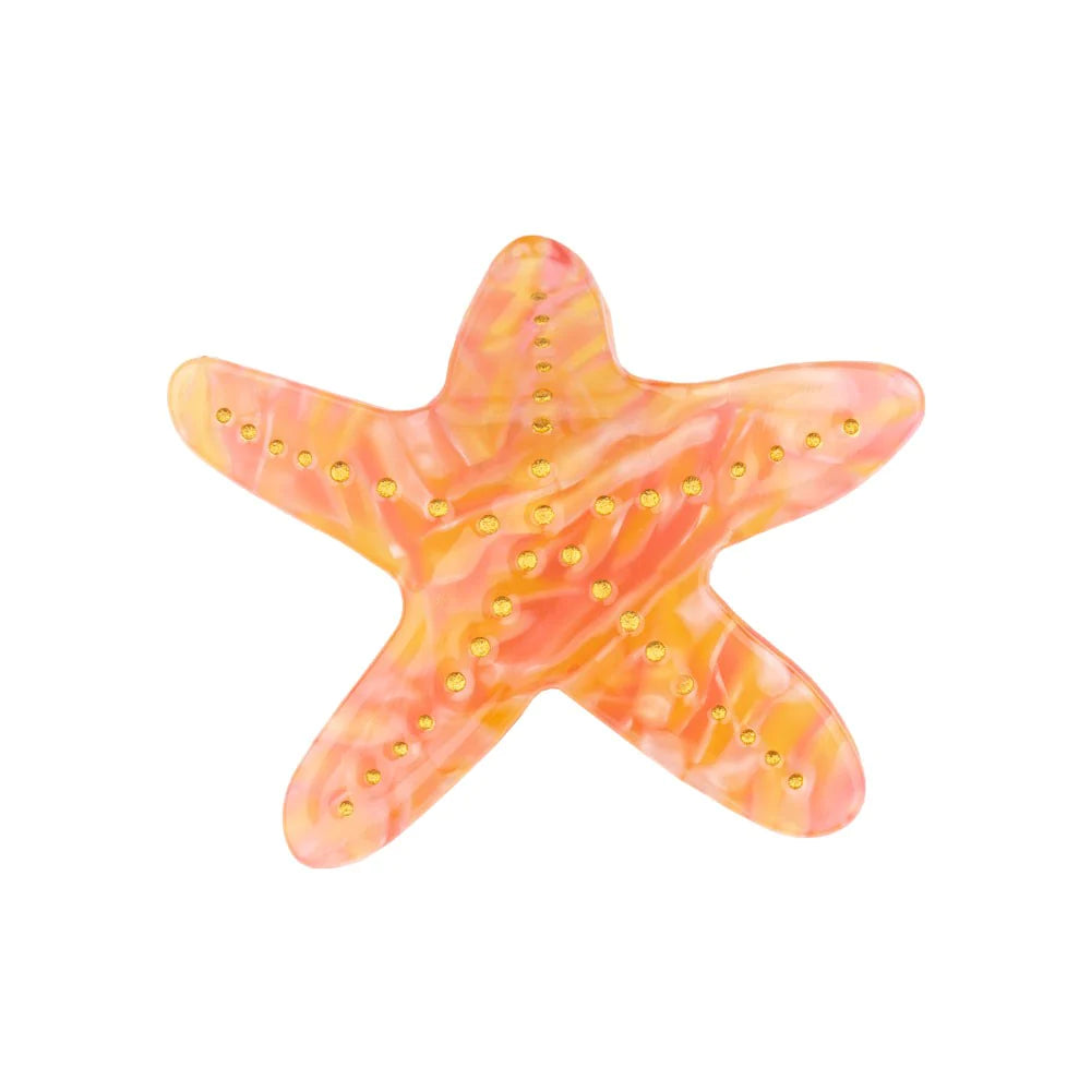 PINZA estrella de mar.