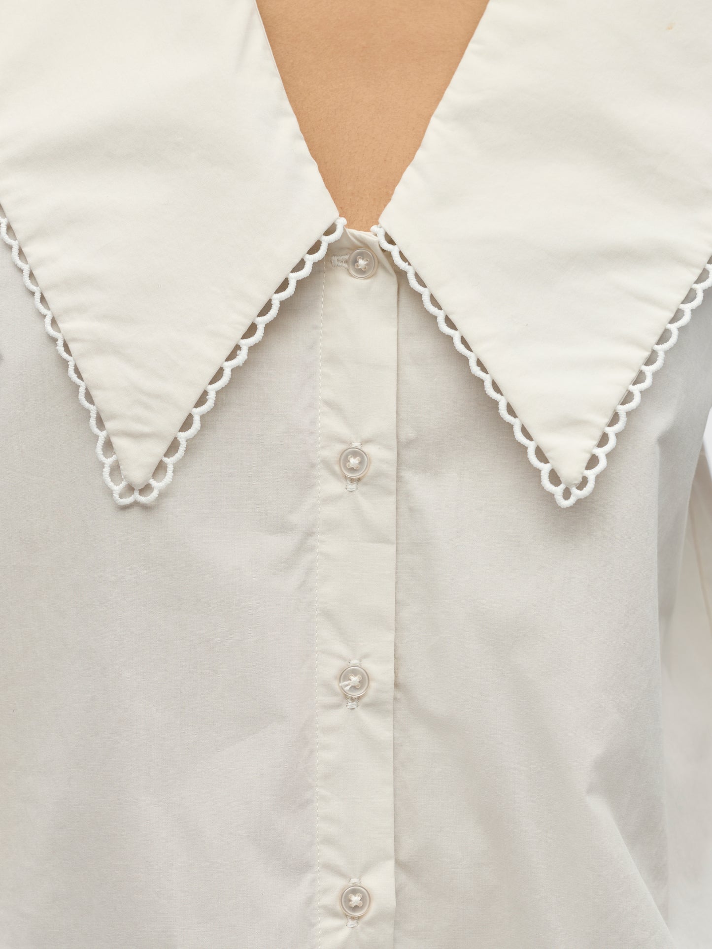 Camisa algodón.