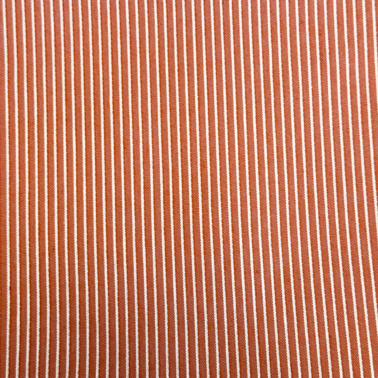 Panera algodón resinada.